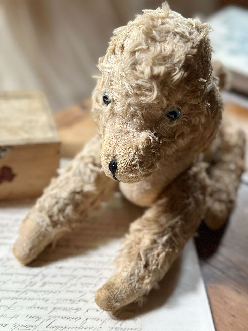 薄いベージュの犬のぬいぐるみ | Brocante de La Cocotte （フランス