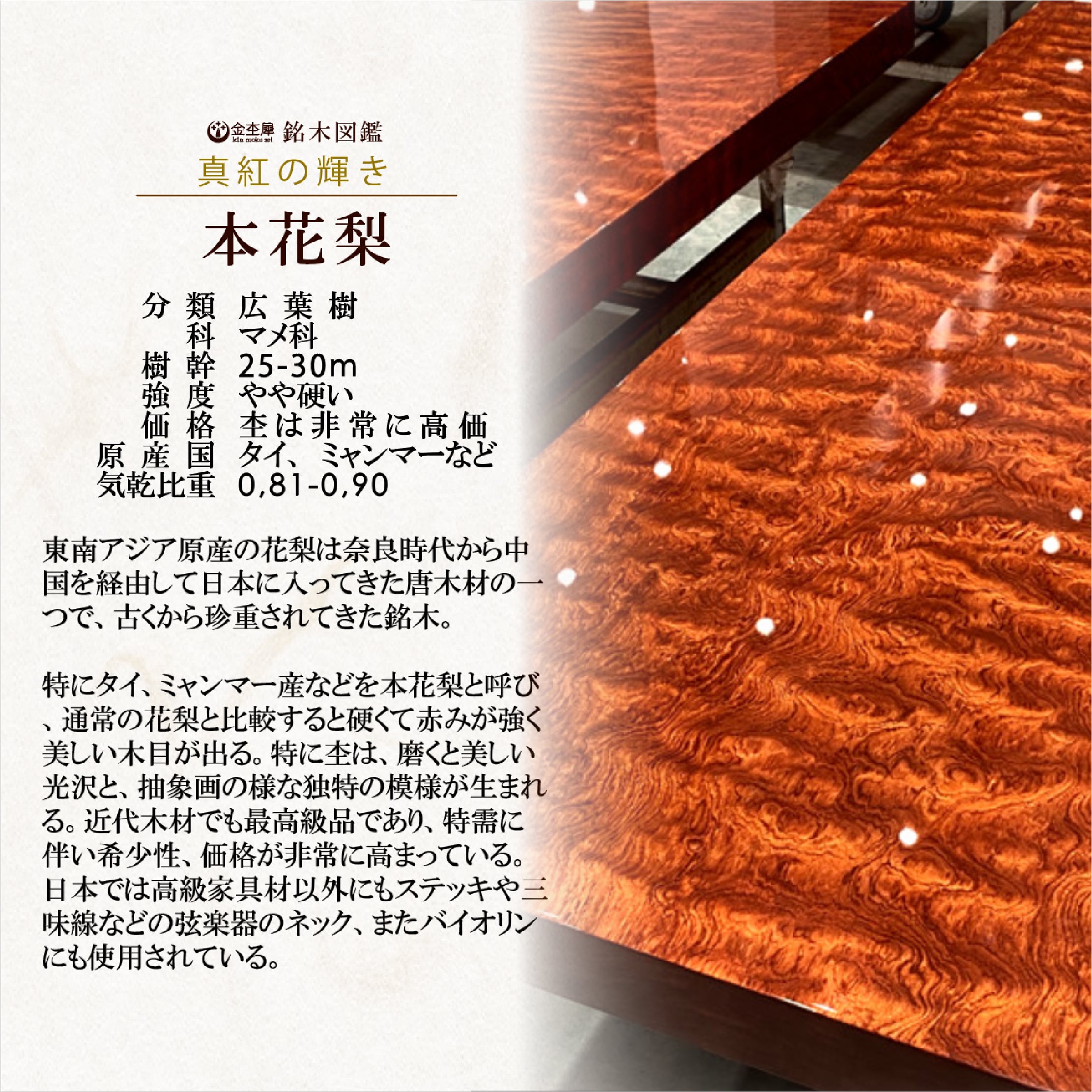 朱色の銘木】 本花梨瘤杢 特上 gold MP | 木軸ペン工房 金杢犀