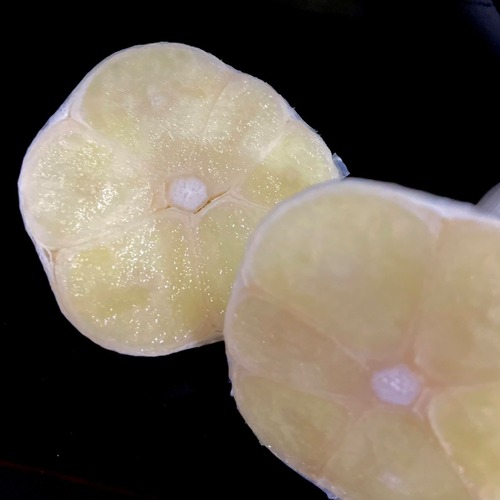 【期間限定野菜】Ryosuke Oyasaiの有機生にんにく（福地ホワイト六片種）サイズ混合1kg～ 画像