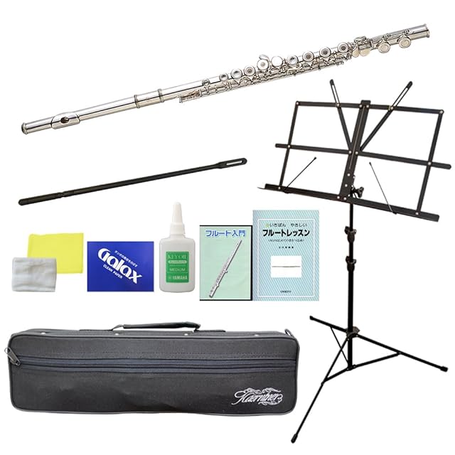 限定生産】ディスク45弁 縦置き型ディスクオルゴール | Pay ID