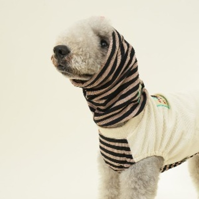 即納のみ【PUPPYGALLERY公式】ファイアースヌードTシャツ【Ivory】IGM