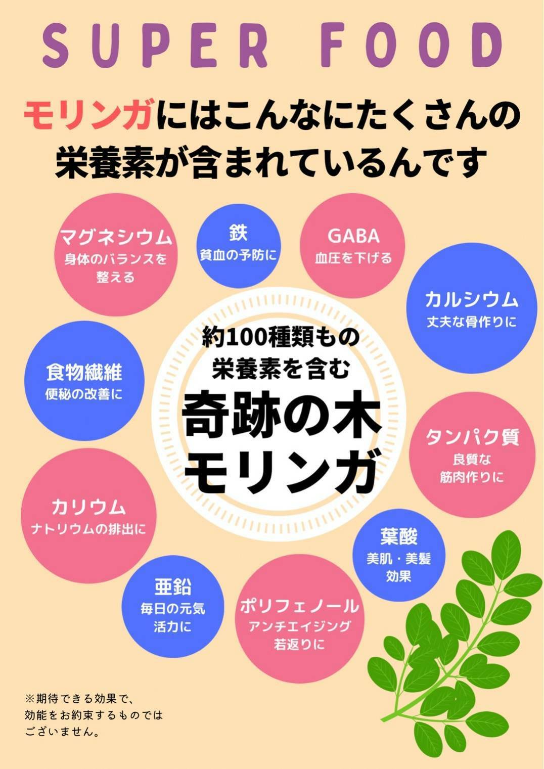 腸内環境最強セット】有機酵素ペースト（約2ヶ月分）1本×有機青汁（2g