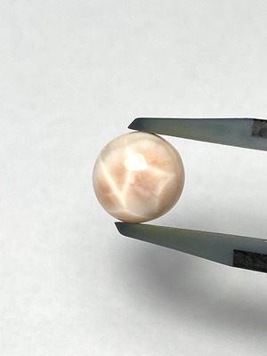 22.【￥1,600均一】トムソナイト［No.HA-4558］