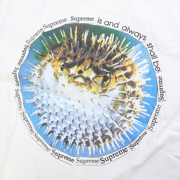 Size【M】 SUPREME シュプリーム 23SS Blowfish Tee Tシャツ 白 【新古 ...