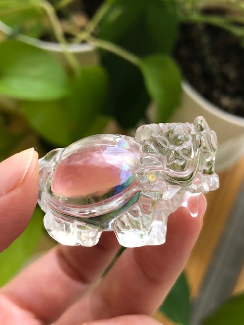 あなたの価値を思い出させよう