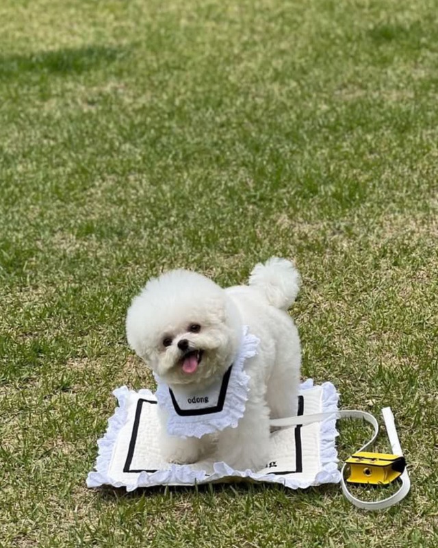 受注制作【curum】Lovely mat 〔お名前item〕