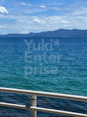 海と空フォト フォト 写真 記念 記憶 記録 花 草 雑草 木 樹木 景色 日本の風景 素敵 japon view iPhone カメラ photo  drive trip travel 国内旅行 ドライブ 旅行