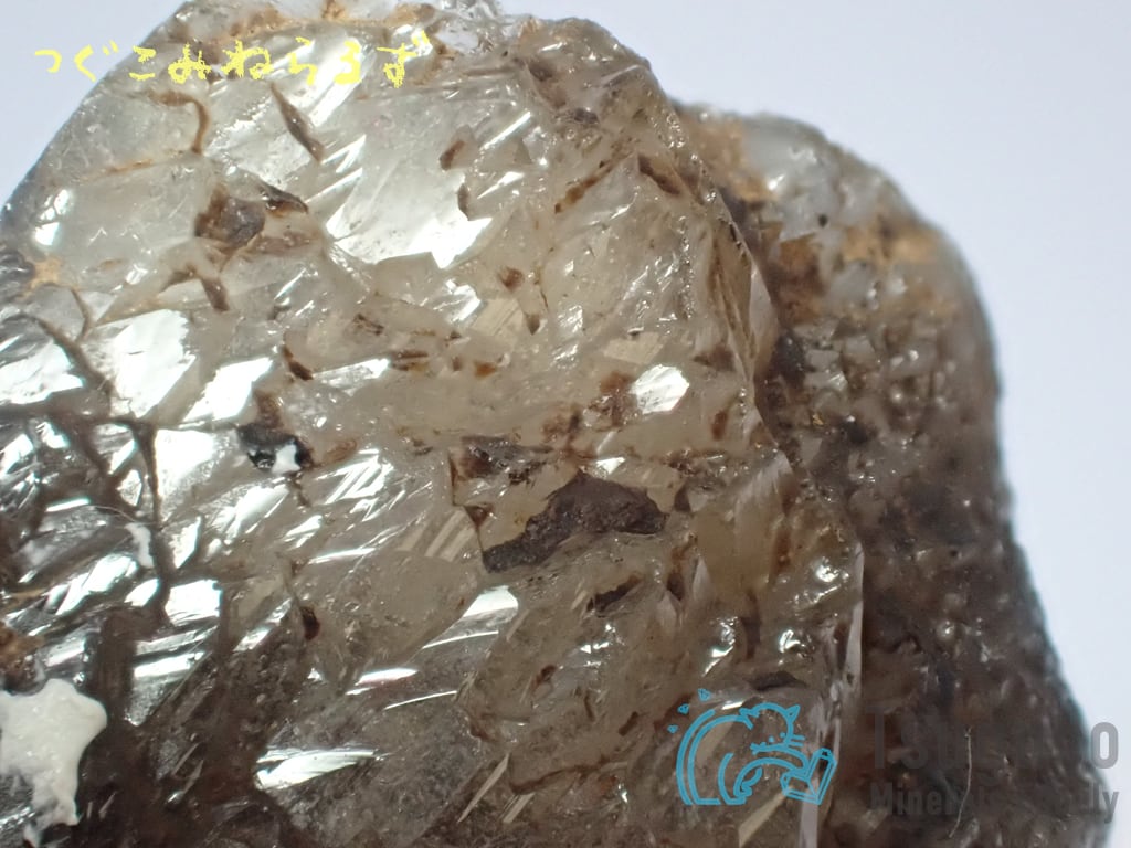 スモーキークォーツ 煙水晶 Smoky Quartz ネパール TM-0037