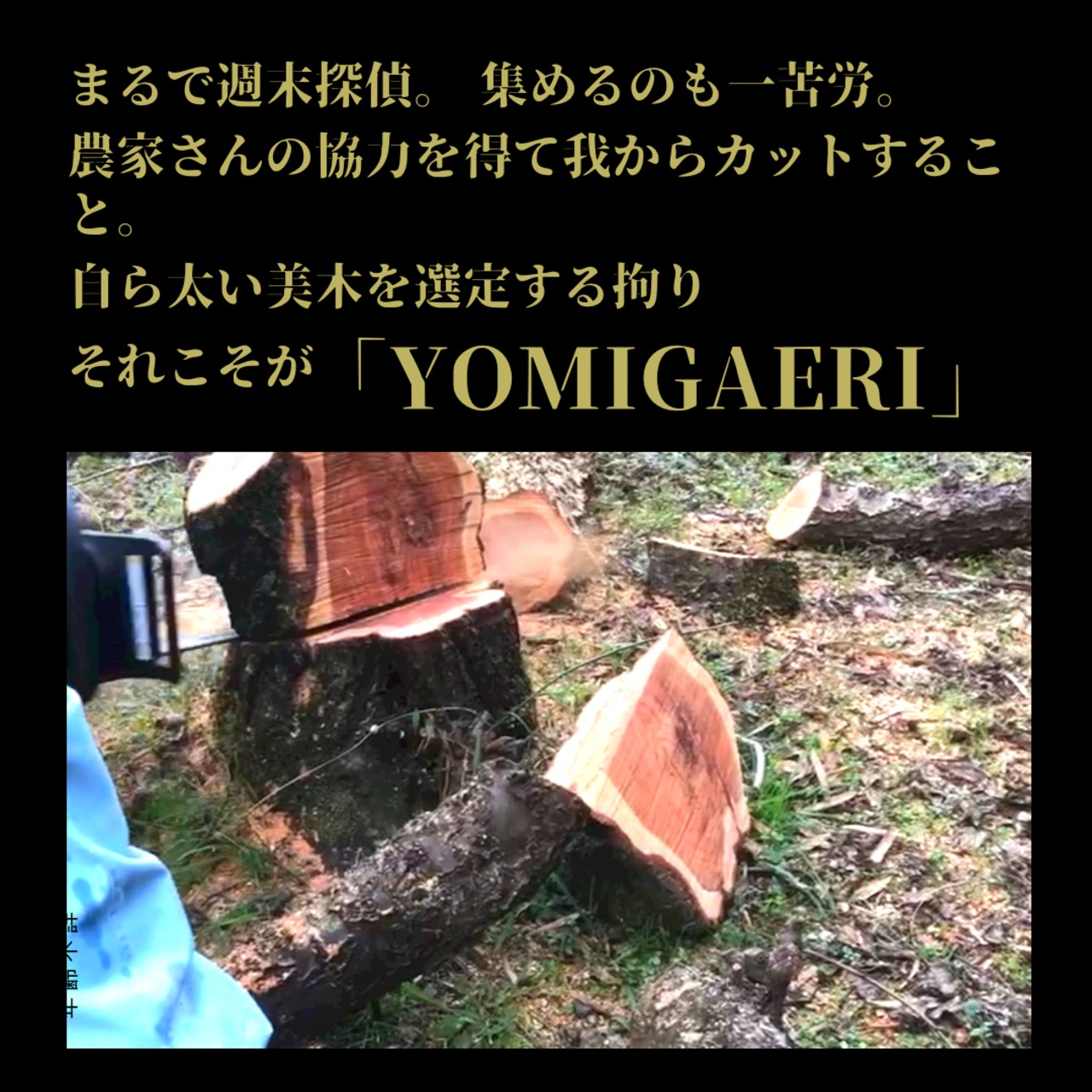 YOMIGAERI®︎　-梅乃キャンドル美木-