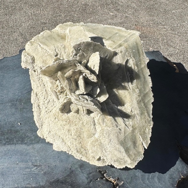 Mud diamond selenite