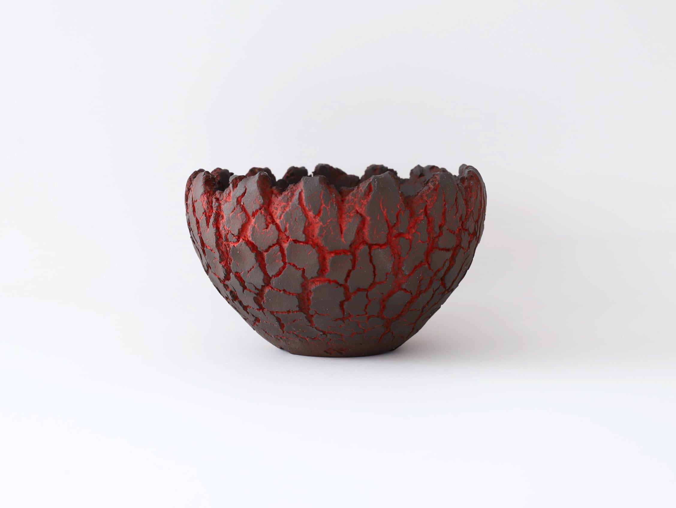 セキグチ タカヒト | Galerie NUAGE