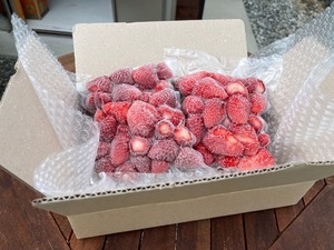 【冷凍いちご】紅ほっぺ1箱1㎏セット