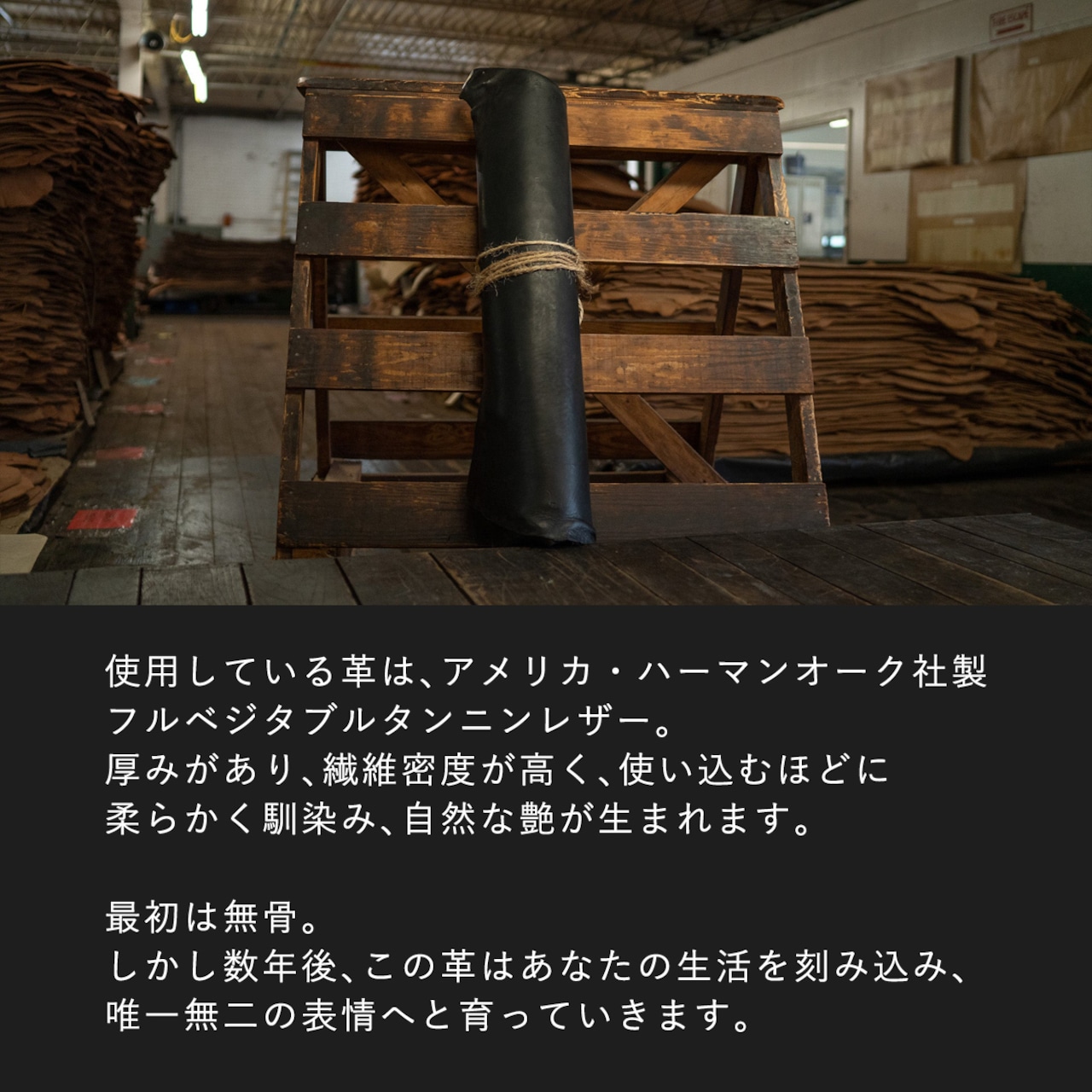 ベルト 1 1/2インチ オデッサ ブライドル クラフト