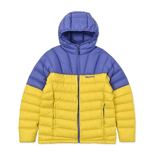 名作 Patagonia ダスパーカー ゲッコーグリーン S パタゴニア DAS