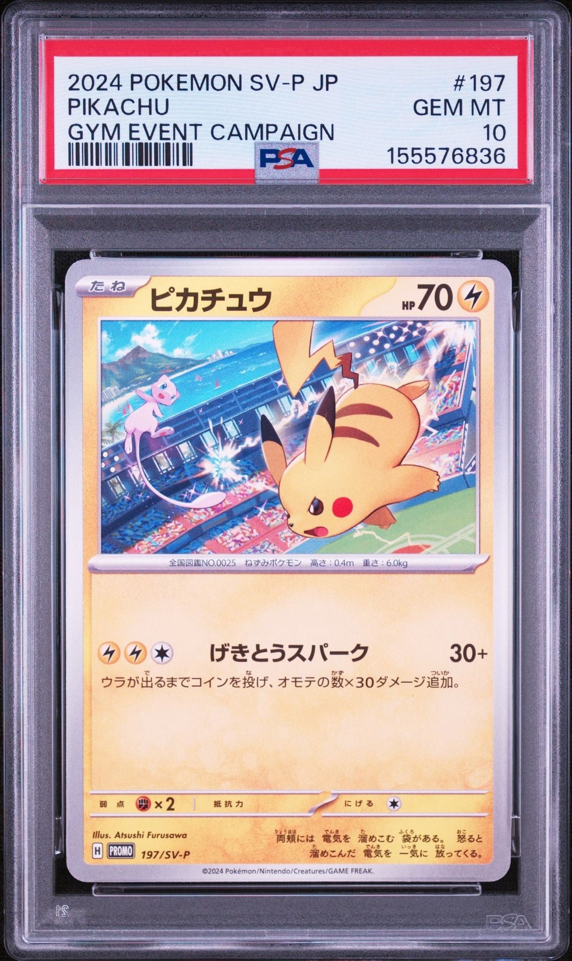 PSA10 連番 コイキング ギャラドス クラシック | card shop Luck