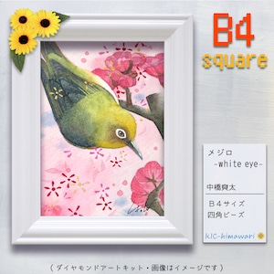 『メジロ -white eye-』中橋爽太のダイヤモンドアートキット♘　B4サイズ・四角ビーズ(sot-09)