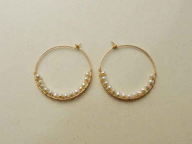 CIRCULAR MOTION Pierced Earring Hoop 1