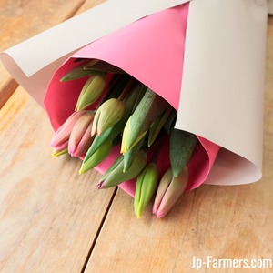 季節の花束　チューリップMIXの花束（ラッピングあり）