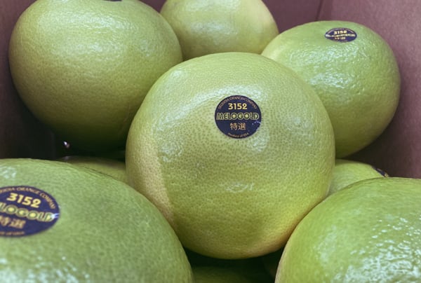 生鮮市場イマイ