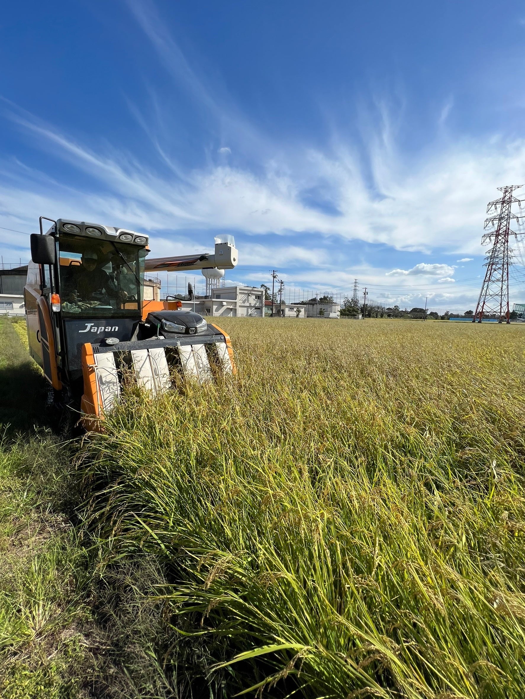 無農薬栽培米6kg(2kg×3袋)『つちのおと』初霜【精米済】おまとめパック(酵素ミネラル農法)岐阜県産 令和7年産