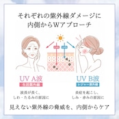 【ご好評につき再入荷待ち】Mashiro