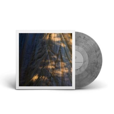 sublimated (LP) Arche 邦楽レコード sublimated 【2025 レコードの日 限定盤】(アナログレコード) : Arche
