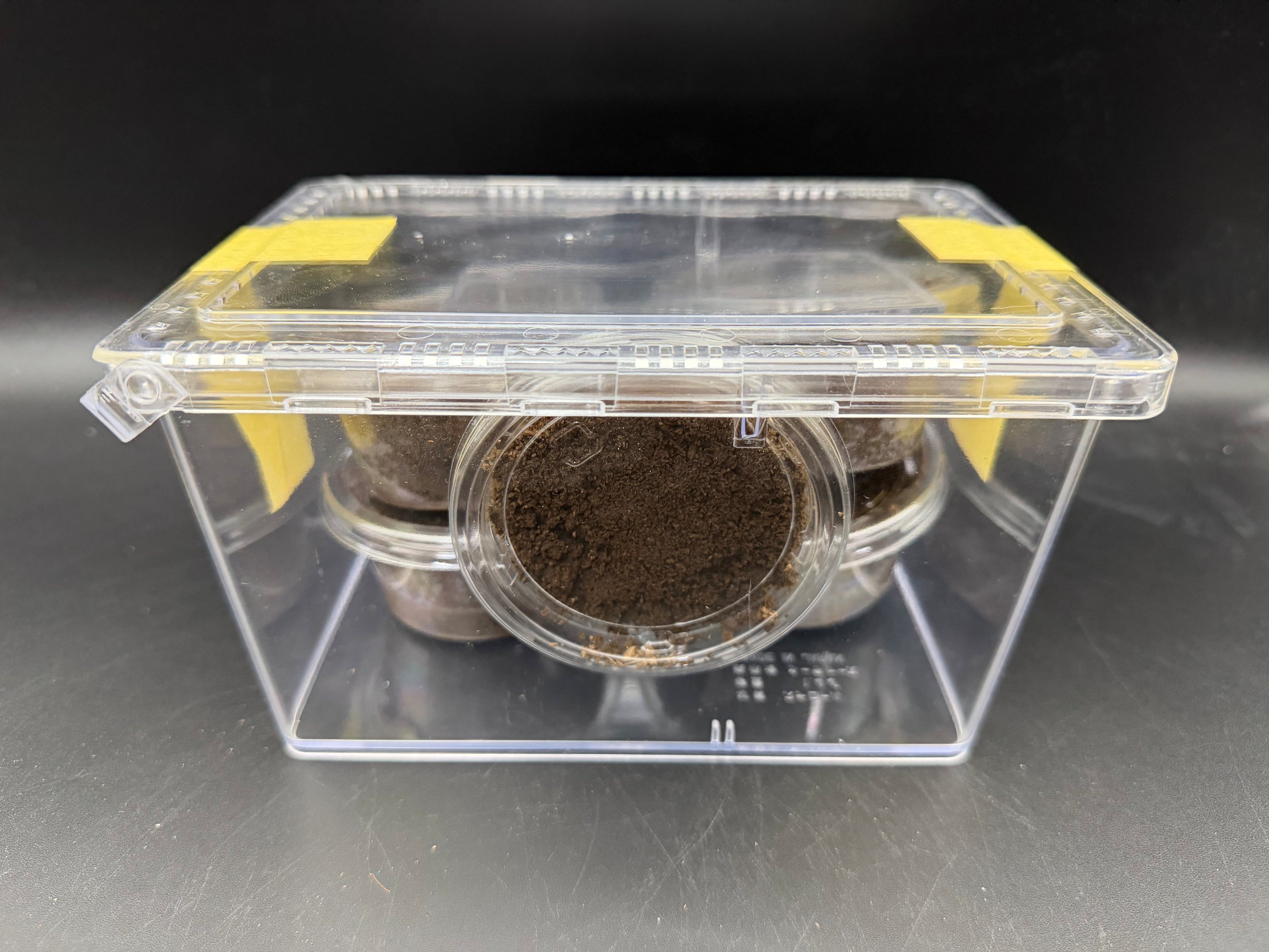 微針専用台（白色ポリエチレンフォーム製） 50個入 | KPW公式