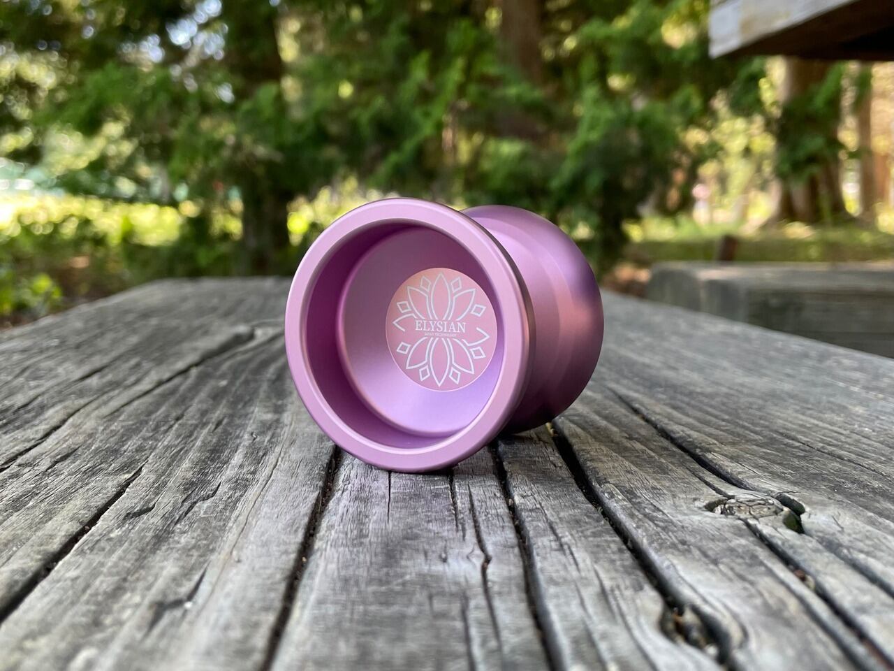 アノマリー（シルバー） | yoyospaceas