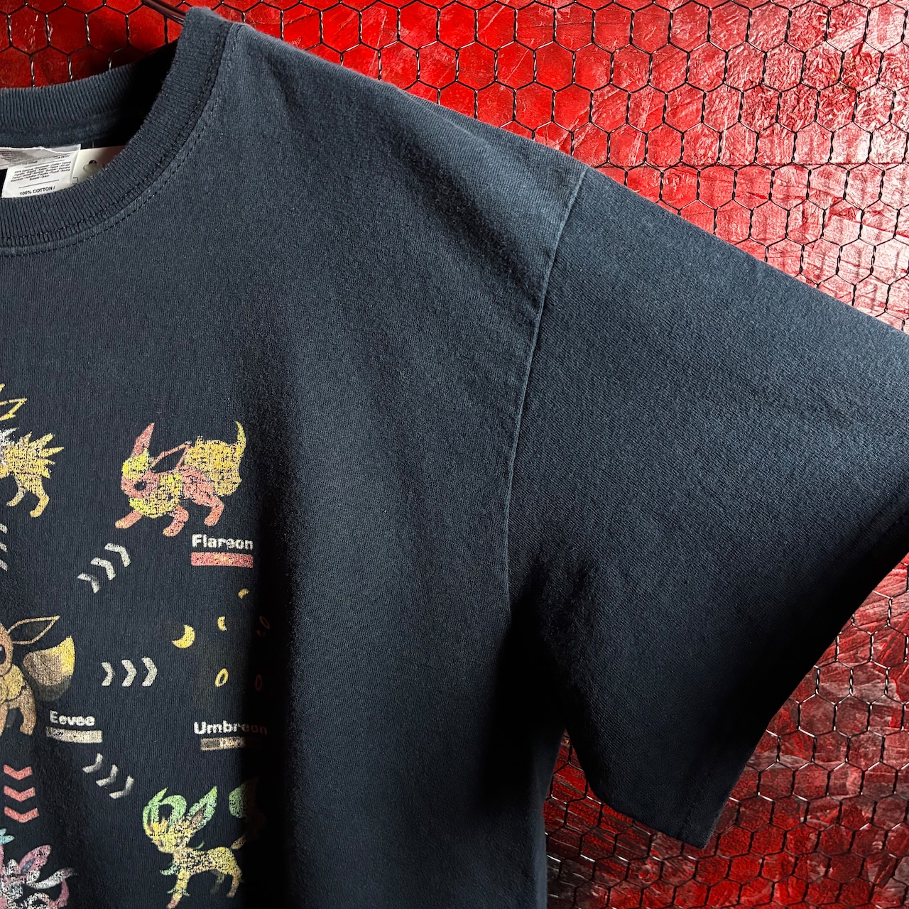 00s GILDAN ポケモン イーブイ進化図鑑Tシャツ ブラック ポケットモンスター