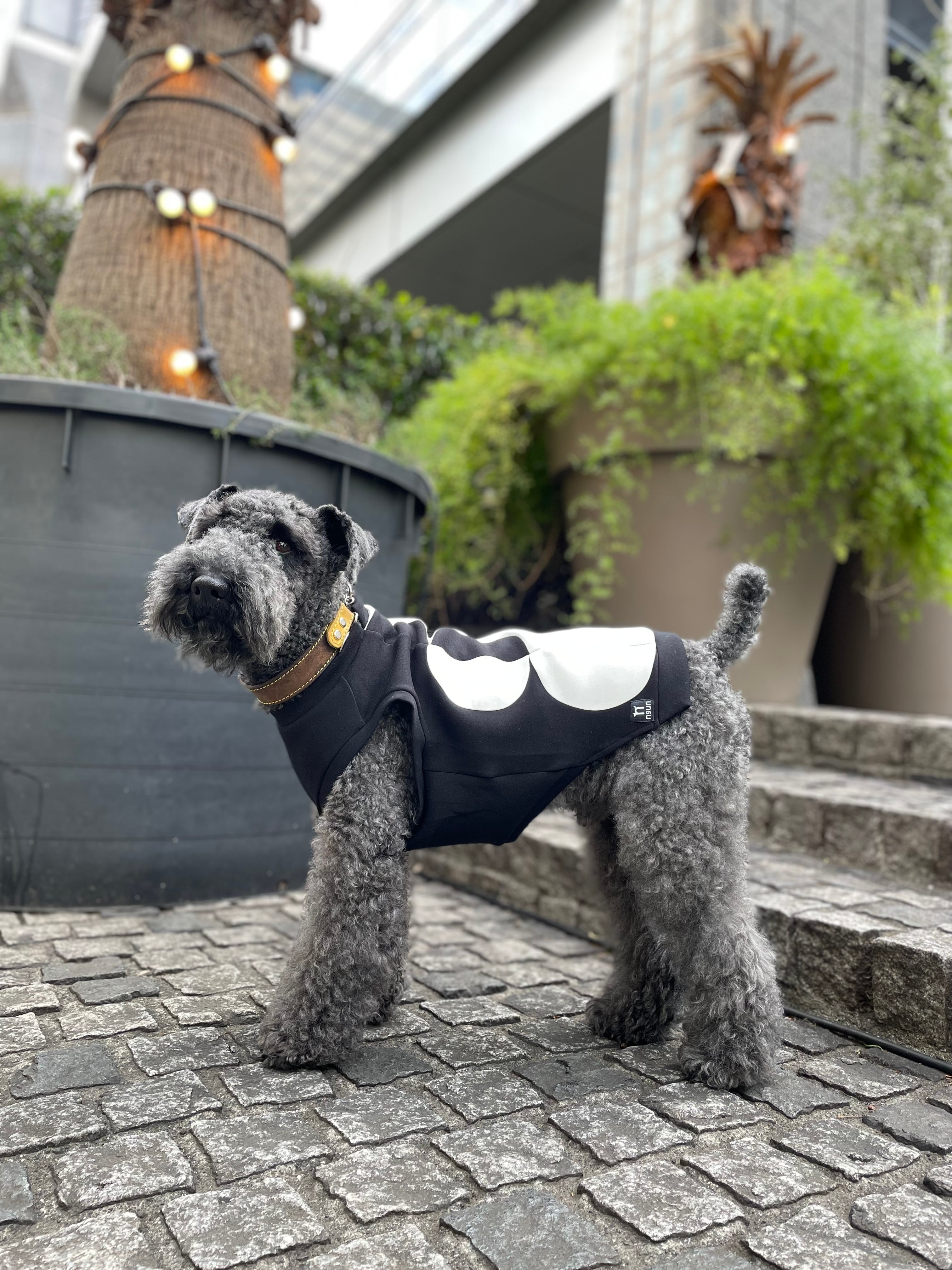 ハーフドット・タンクトップ〈BLACK＆WHITE〉 | n9un