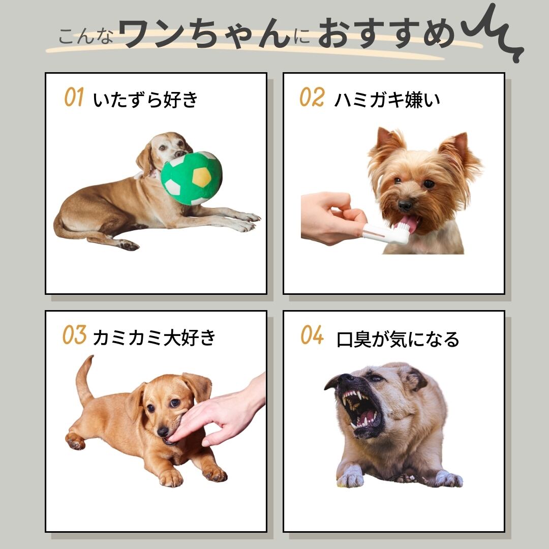 送料無料】北海道産蝦夷鹿の角 Sサイズ 2本 犬のおやつ おもちゃ 鹿角