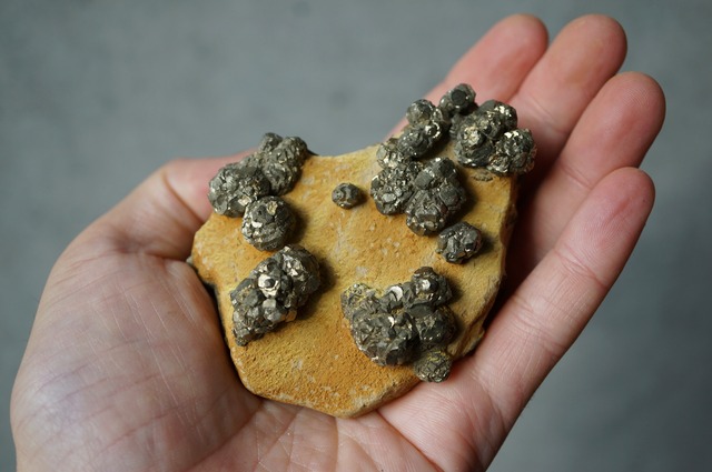 パイライト / リモナイト  Pyrite / Limonite