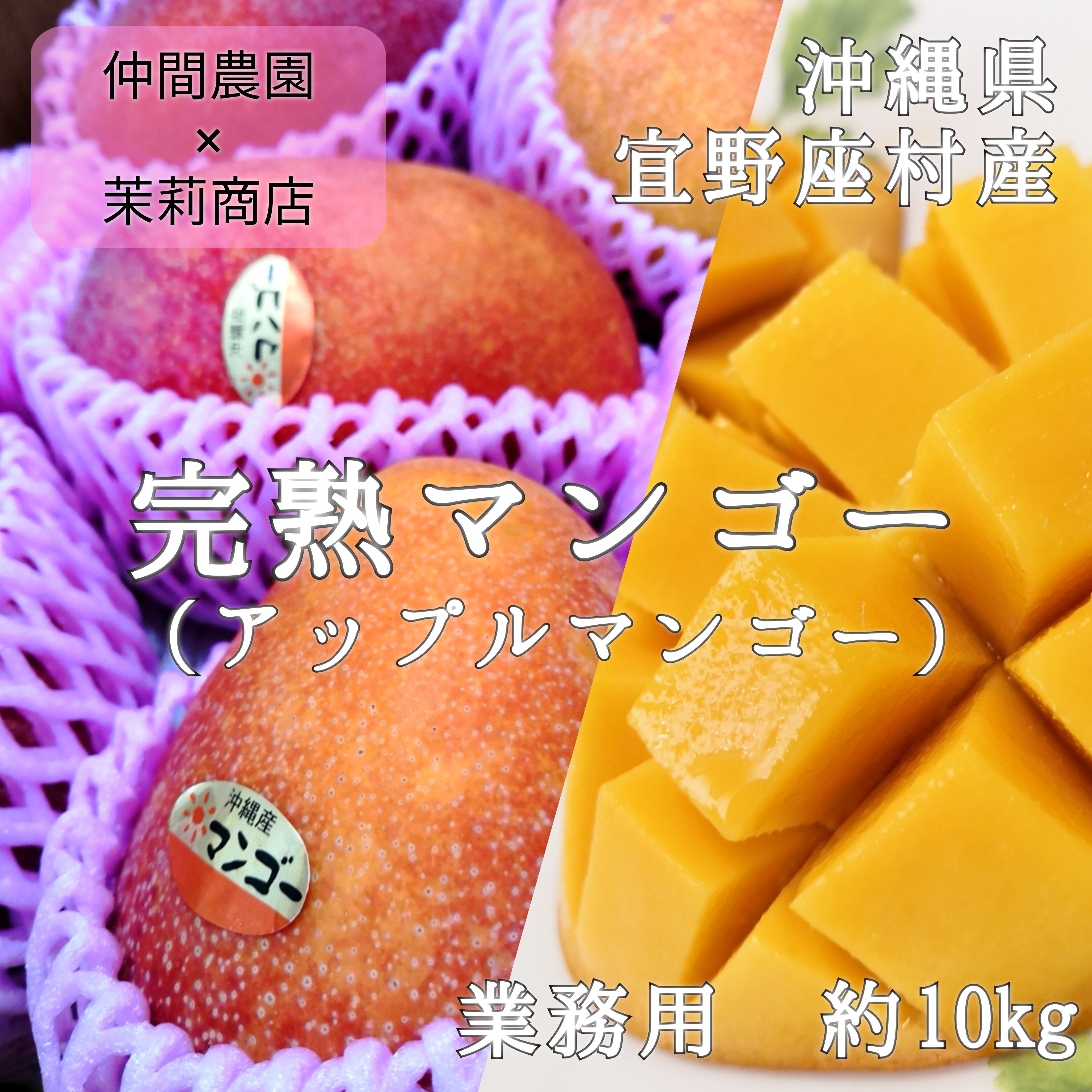 予約】沖縄直送！完熟マンゴー(アップルマンゴー) 業務用10kg（22~28玉 