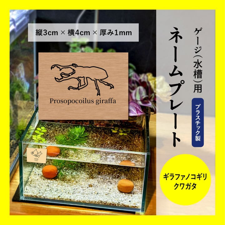 ゲージ・水槽用ネームプレート ☆ネプチューンオオカブトのイラスト