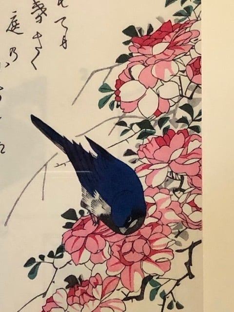 0a7e610c3b4da2a7ba5608f0f2be13