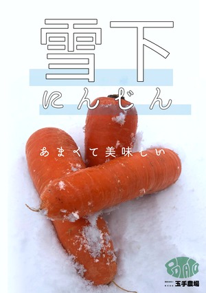 雪下にんじん　混みサイズ ５kg【送料別】
