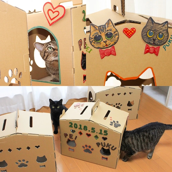 猫ハウスでくつろぐ猫たち
