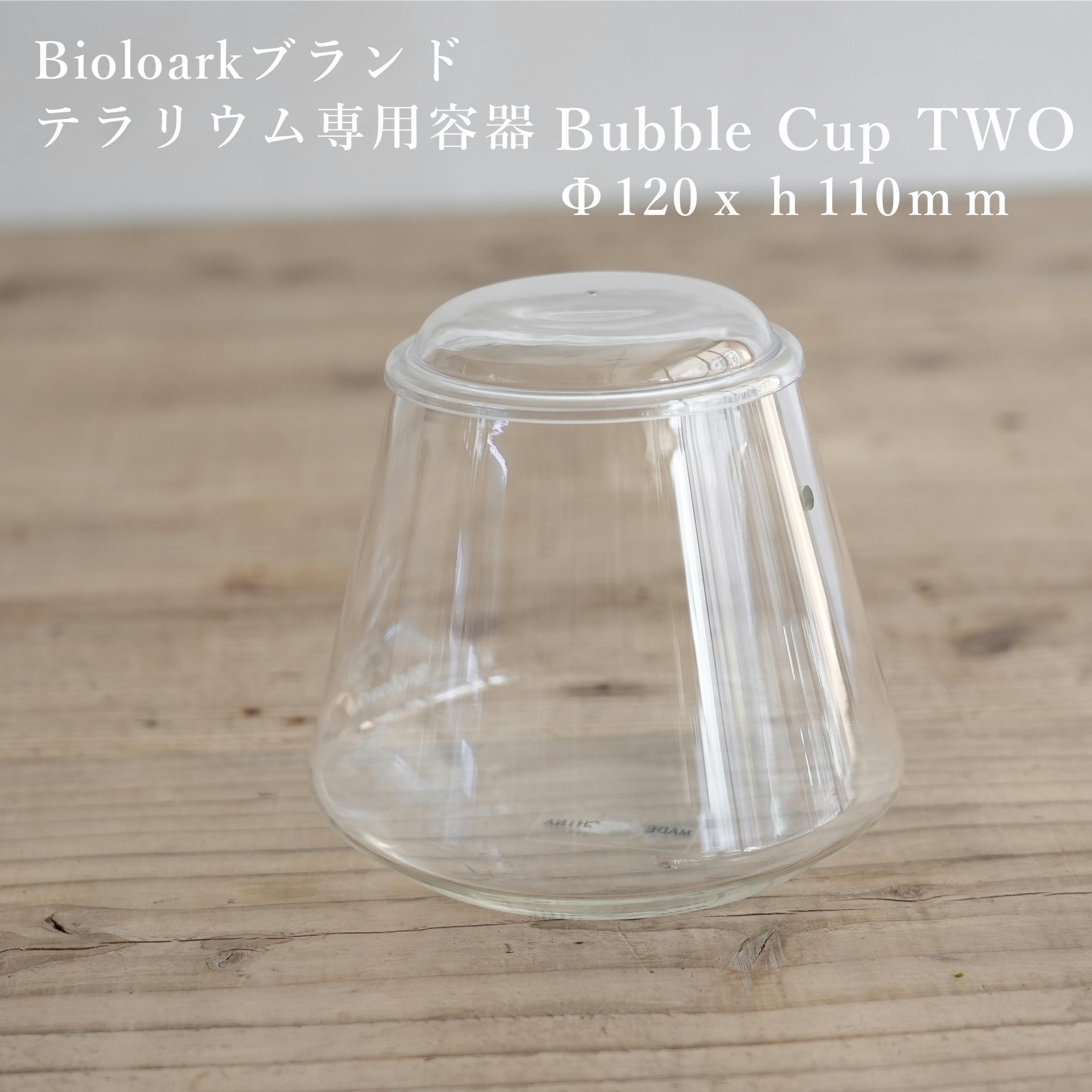 【ガラス容器】Bioloark Bubble Cup TWO（Φ120ｘｈ110mm）◆テラリウムのために作られたガラス容器