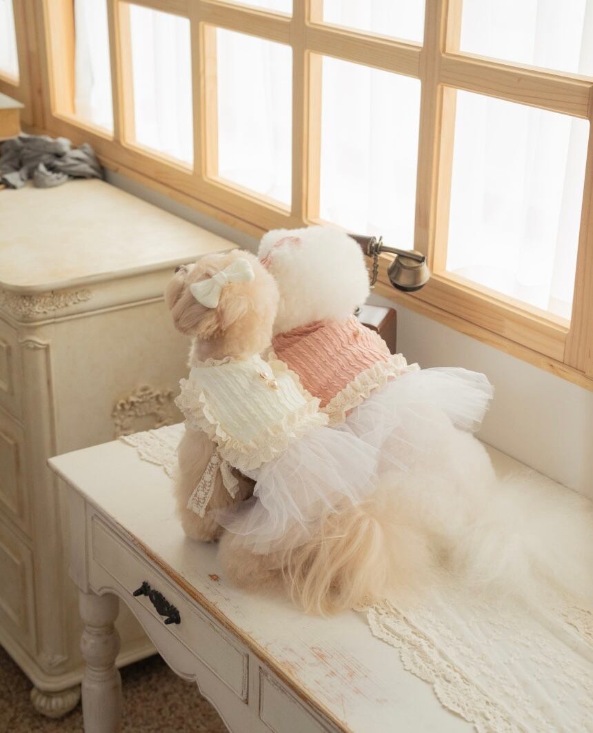 【Dailypetchon】Bongbong Lovely Knit Bustier