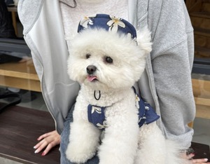【THEREST OF LIFE】HAWAIIAN FLOWER OPS(navy)