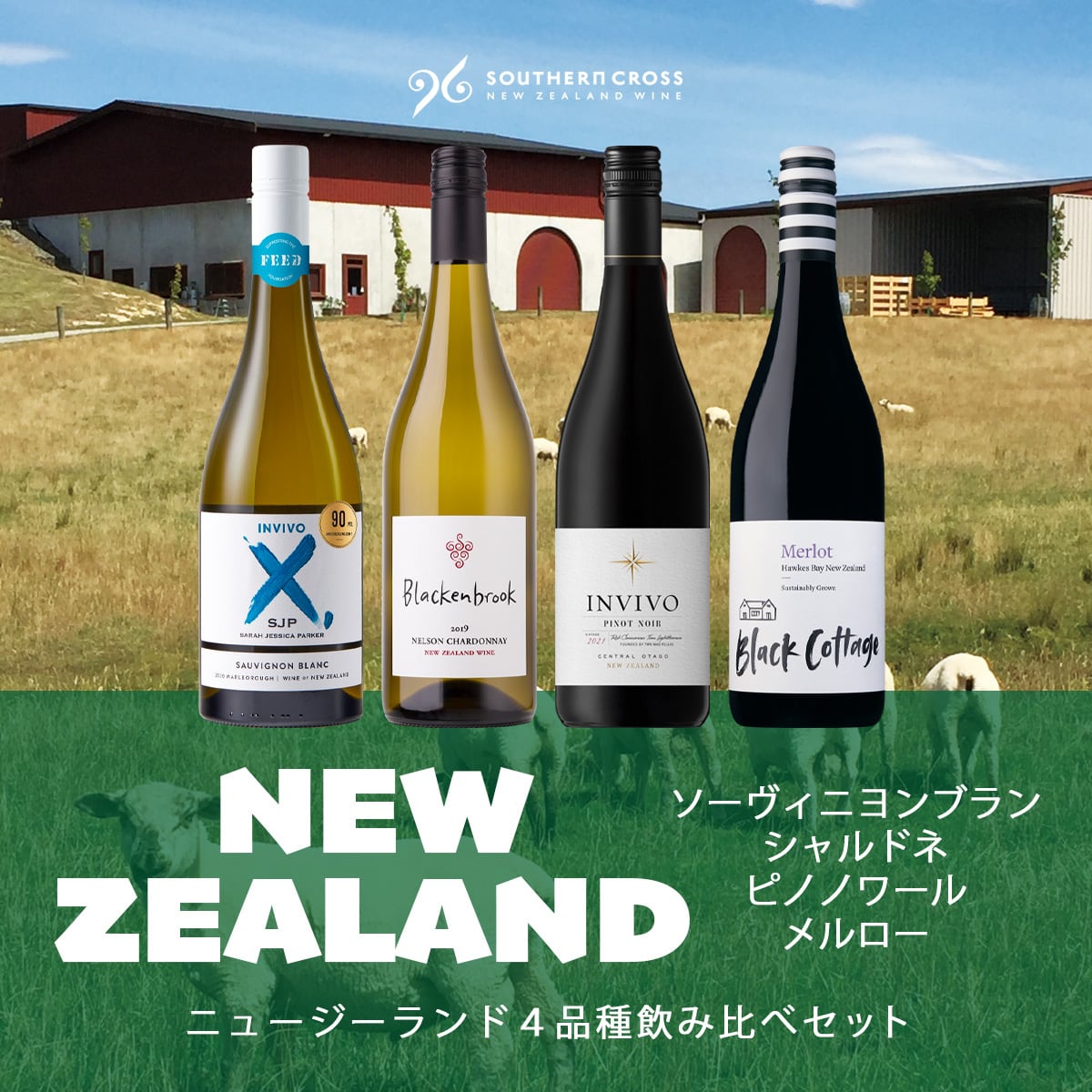 10%OFF】ニュージーランド4品種飲み比べセット | Southern Cross Wine
