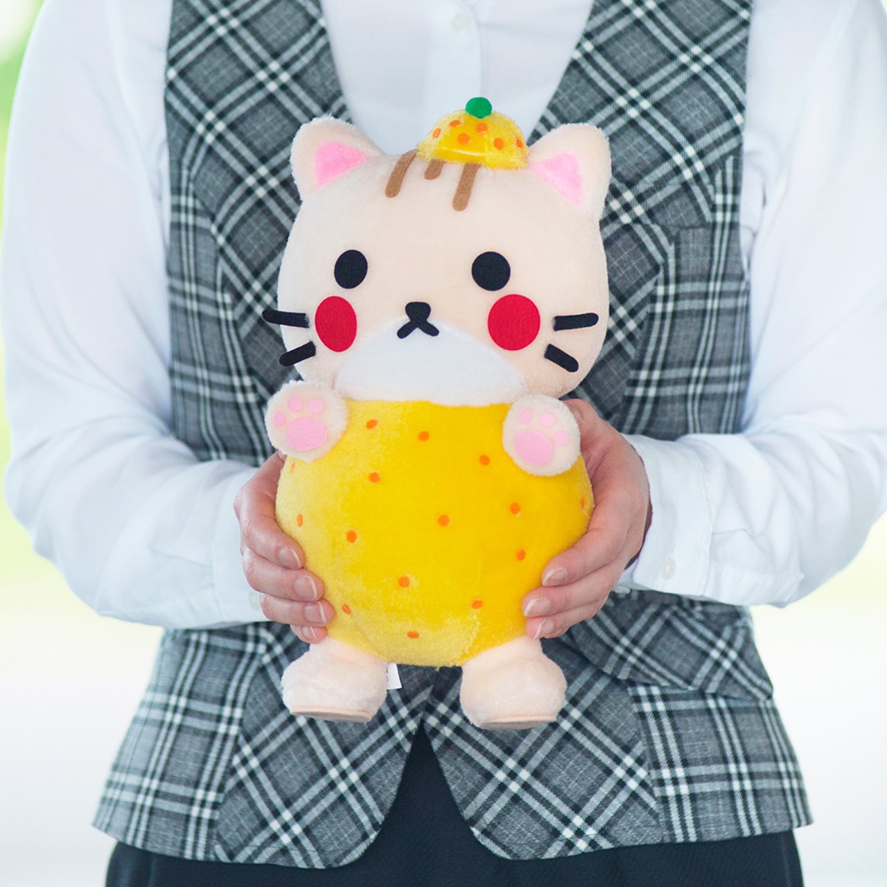 まめゴマ ぬいぐるみ すいぞくかん めんだこ 羽 くじら 星 UFO 2022