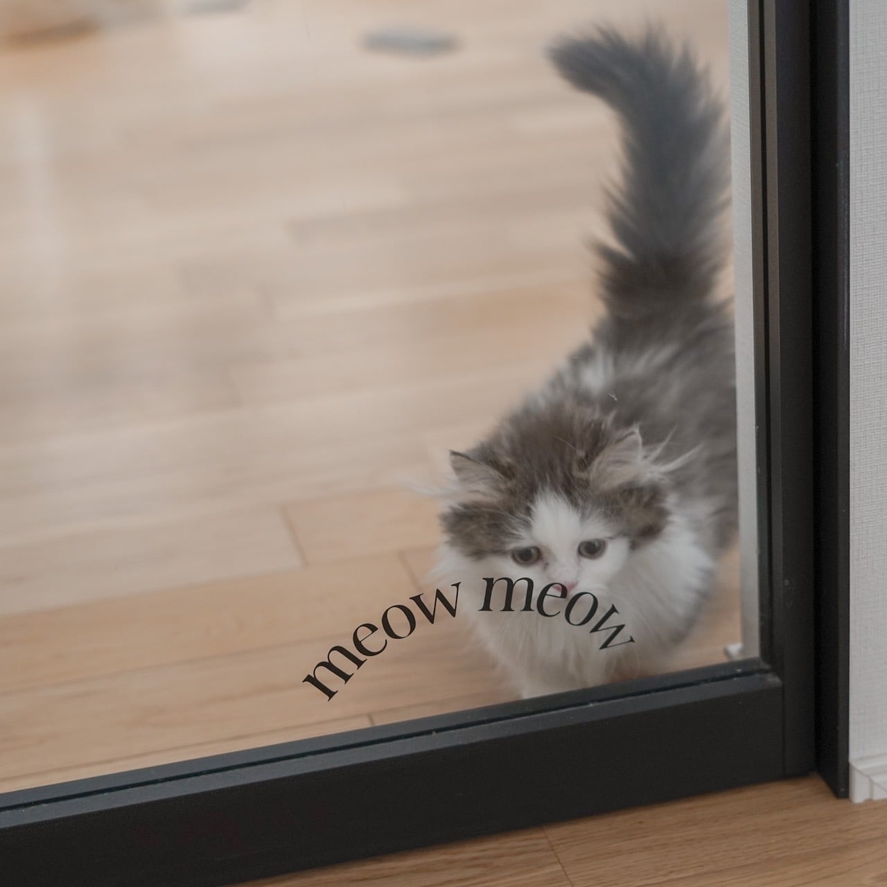 \GW限定再販/ meow meow