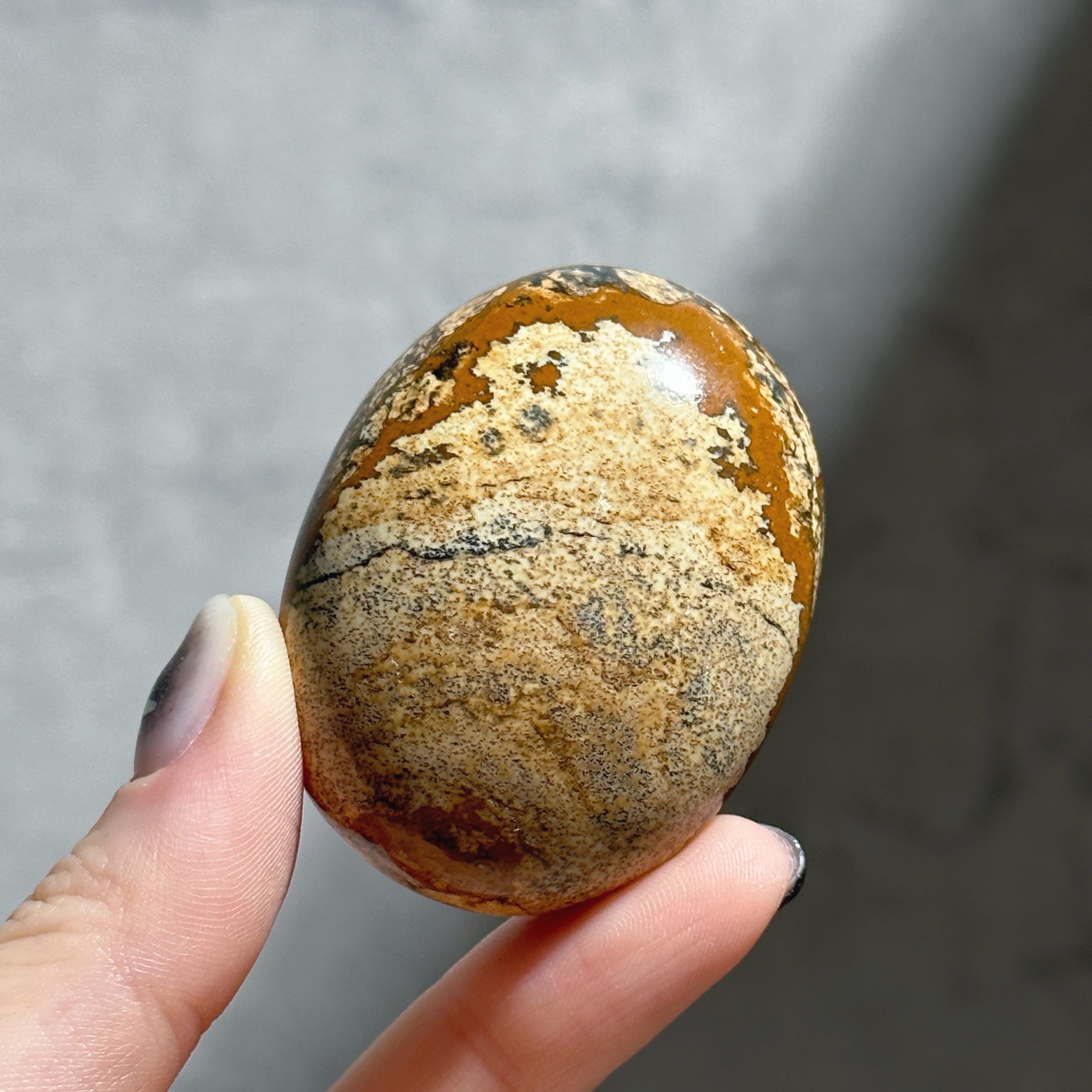 ピクチャージャスパー パームストーン02◇ Picture Jasper ピクチャージャスパー パームストーン02◇ Picture Jasper