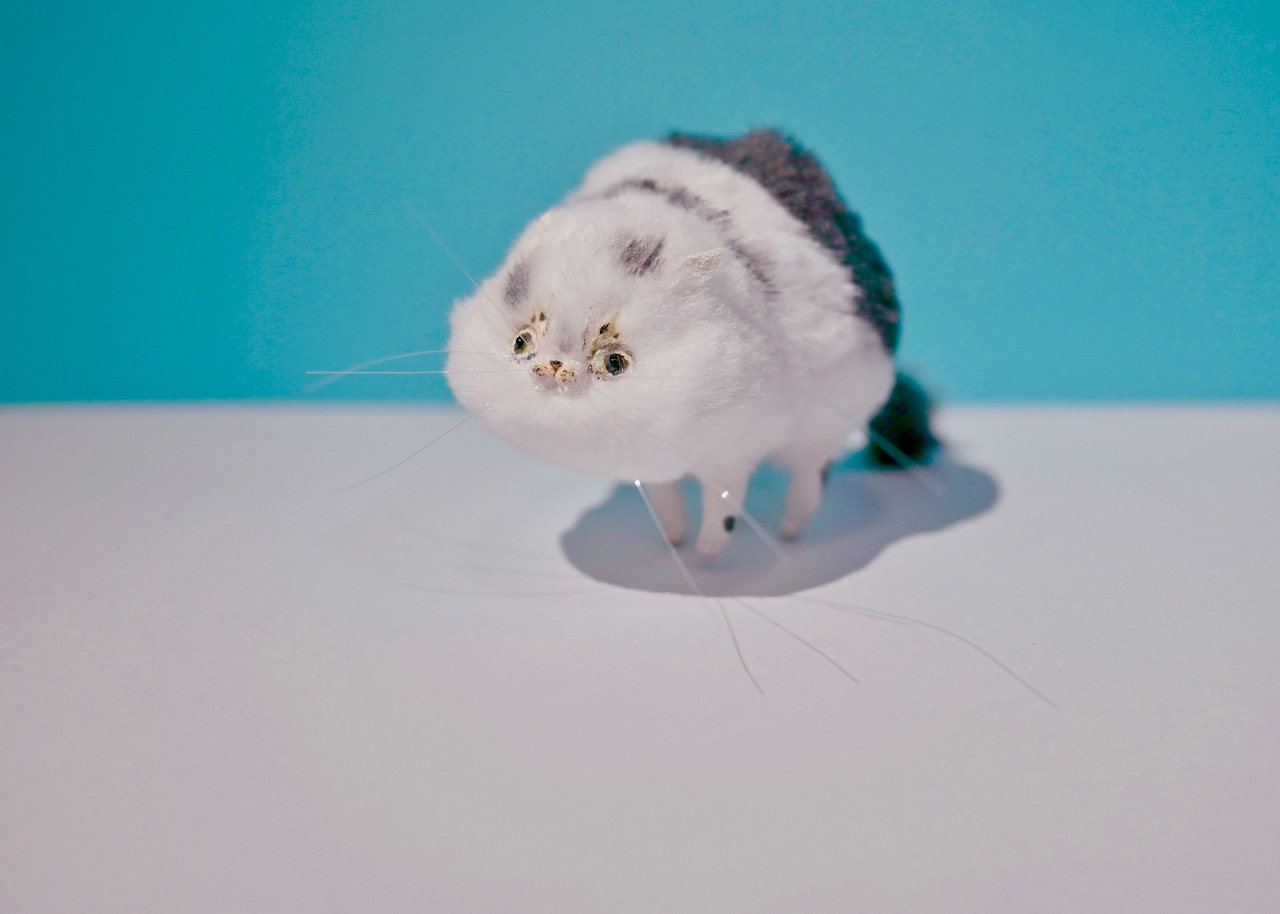 ヤン・ノ・カー