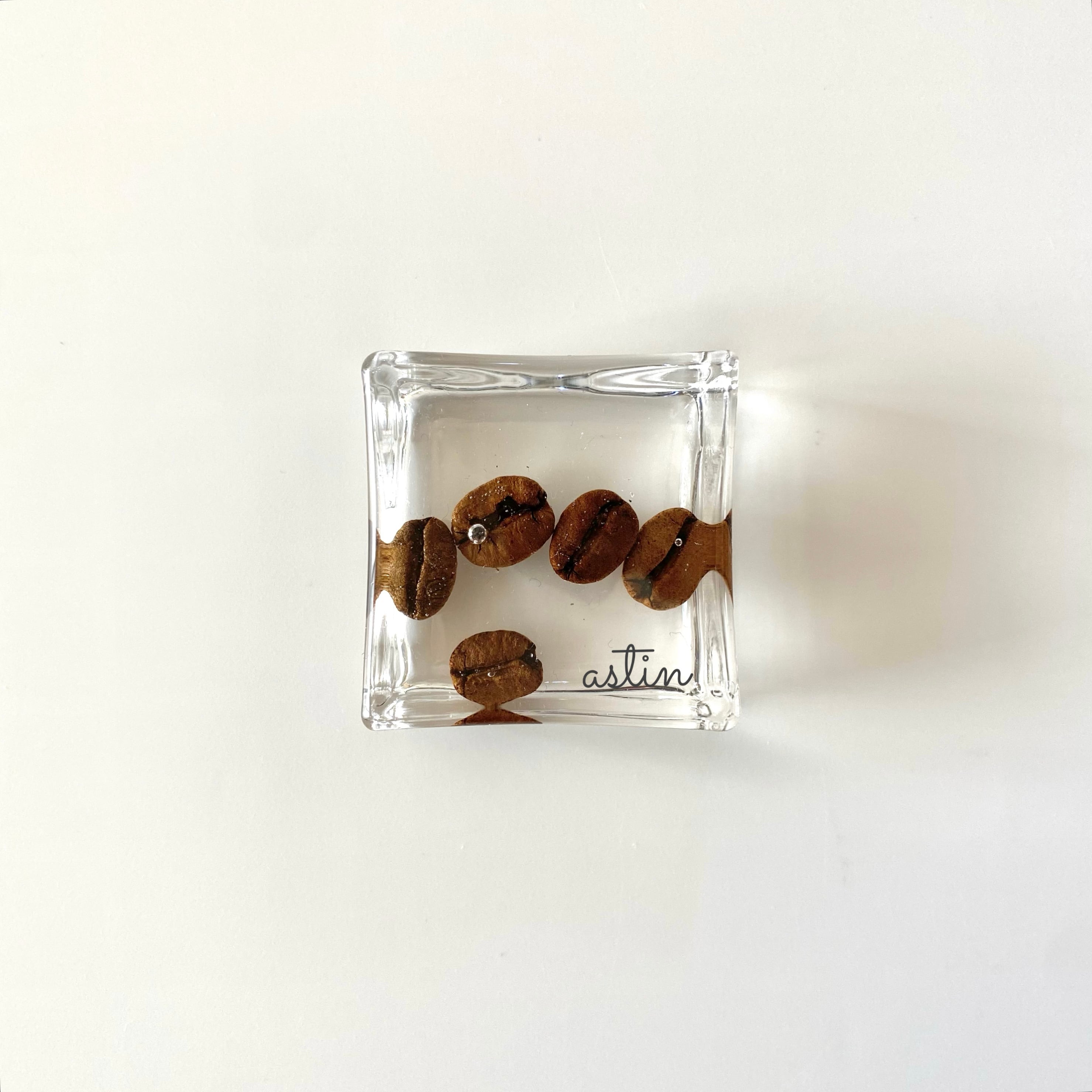 正方形】コーヒー豆の箸置き | astin muhler | 押し花・押しフルーツの