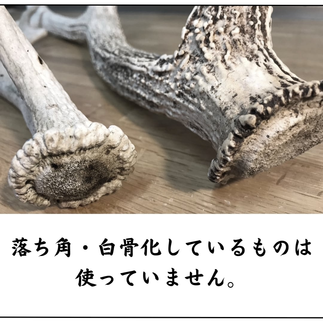 大阪正規品 ツマッキー様専用 蝦夷鹿の角10本 | magkin.org