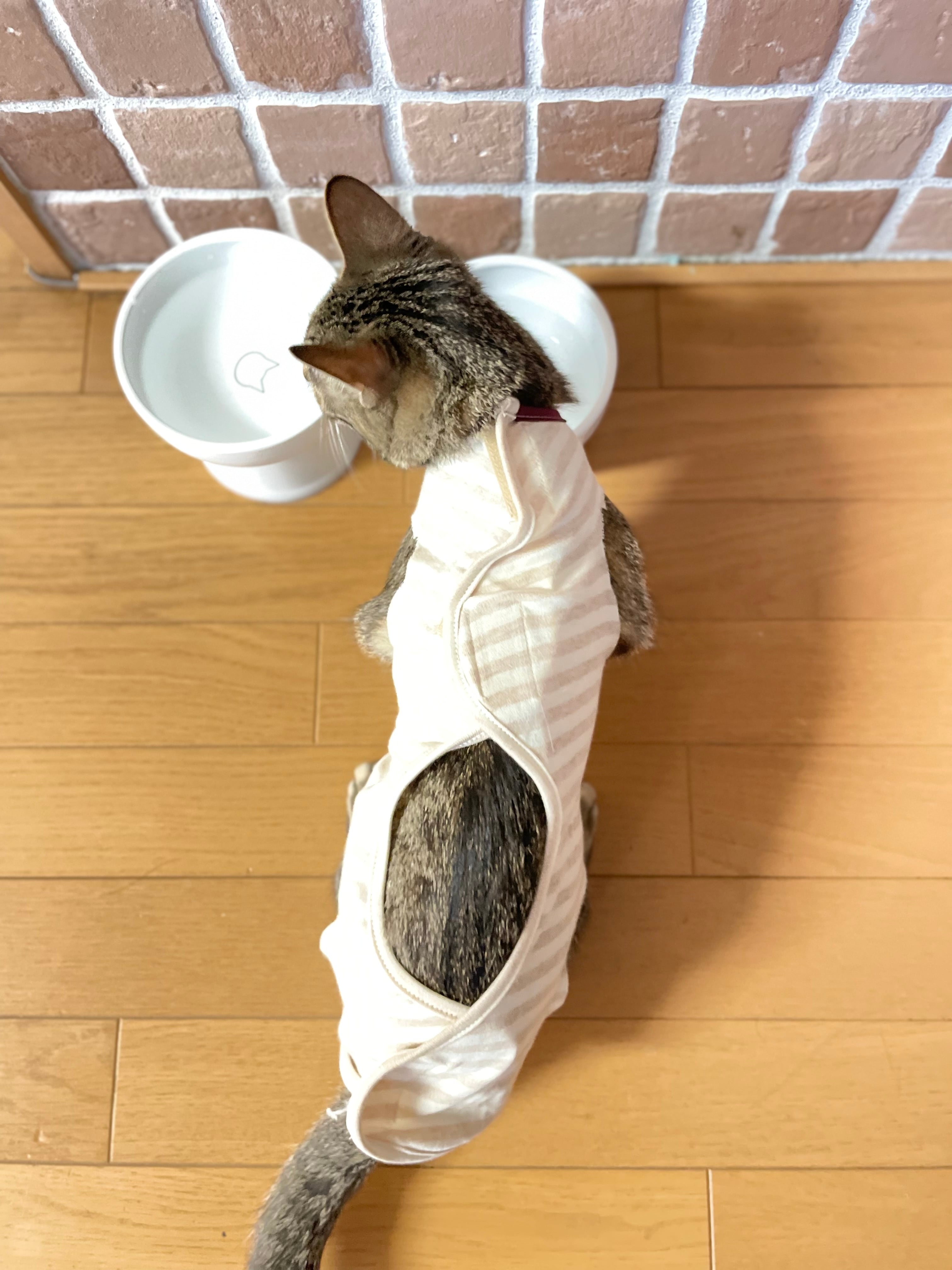 猫の福（服）Sサイズ 限定1点 | ミシン工房六花 オーダーメイド縫製