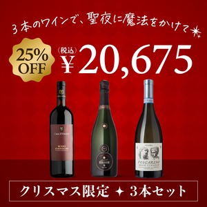 完売！【おすすめペアリング付き】３本のワインで聖夜に魔法をかけて・・・