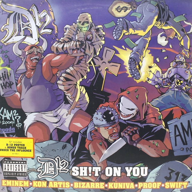 D12 / Shit On You [497 496-1] - メイン画像